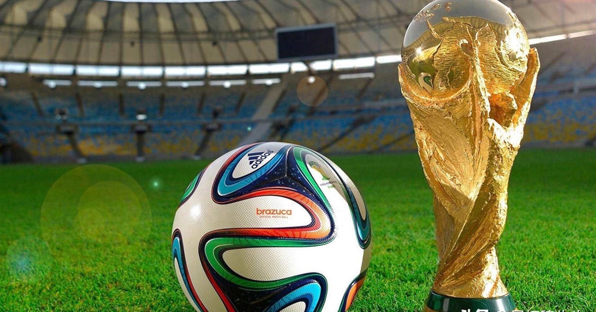 是流量与专 是流量与专